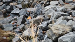 kameny na břehu jezírka